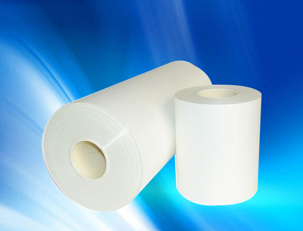 CY21#100����Ĥ